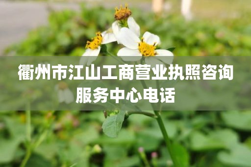 衢州市江山工商营业执照咨询服务中心电话