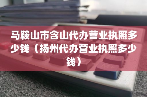 马鞍山市含山代办营业执照多少钱(扬州代办营业执照多少钱)