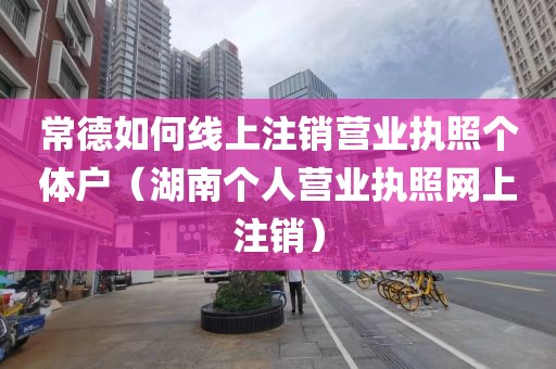 常德如何线上注销营业执照个体户（湖南个人营业执照网上注销）