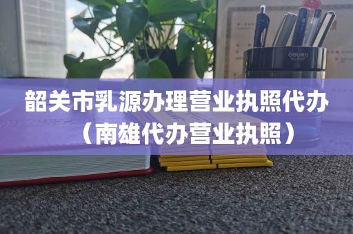 韶关市乳源办理营业执照代办（南雄代办营业执照）