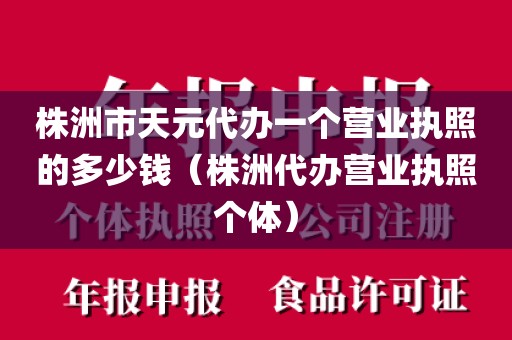 株洲市天元代办一个营业执照的多少钱（株洲代办营业执照个体）