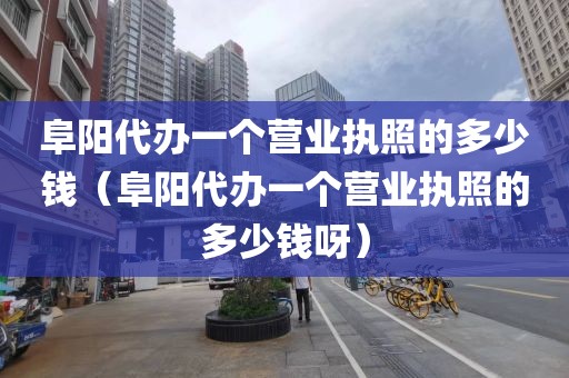 阜阳代办一个营业执照的多少钱（阜阳代办一个营业执照的多少钱呀）