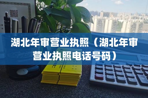 湖北年审营业执照（湖北年审营业执照电话号码）