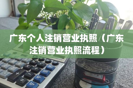 广东个人注销营业执照（广东注销营业执照流程）