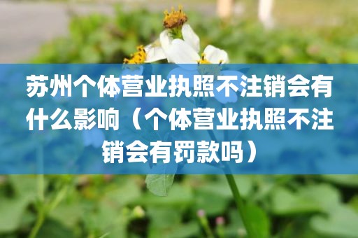 苏州个体营业执照不注销会有什么影响（个体营业执照不注销会有罚款吗）