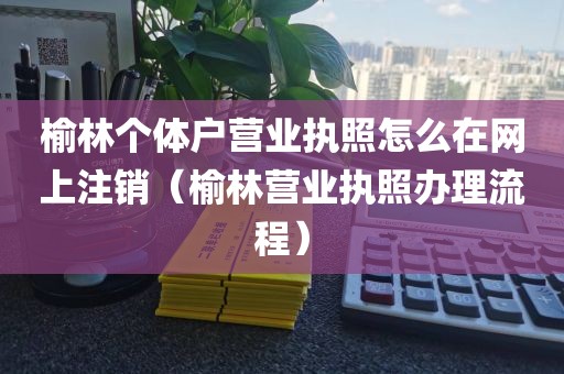 榆林个体户营业执照怎么在网上注销(榆林营业执照办理流程)
