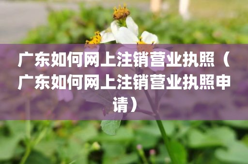 广东如何网上注销营业执照（广东如何网上注销营业执照申请）