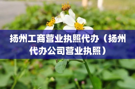 扬州工商营业执照代办（扬州代办公司营业执照）