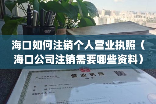 海口如何注销个人营业执照(海口公司注销需要哪些资料)