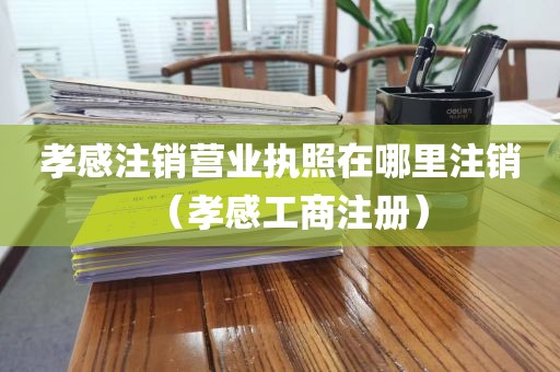 孝感注销营业执照在哪里注销(孝感工商注册)