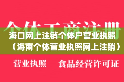海口网上注销个体户营业执照（海南个体营业执照网上注销）