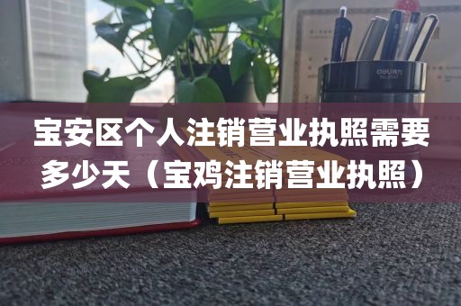 宝安区个人注销营业执照需要多少天(宝鸡注销营业执照)