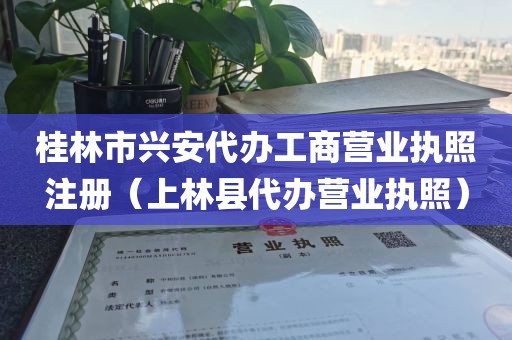 桂林市兴安代办工商营业执照注册（上林县代办营业执照）