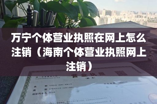 万宁个体营业执照在网上怎么注销(海南个体营业执照网上注销)