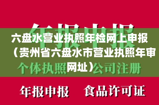 六盘水营业执照年检网上申报（贵州省六盘水市营业执照年审网址）