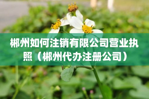郴州如何注销有限公司营业执照（郴州代办注册公司）