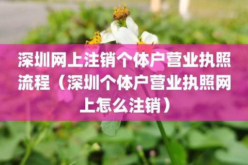 深圳网上注销个体户营业执照流程（深圳个体户营业执照网上怎么注销）