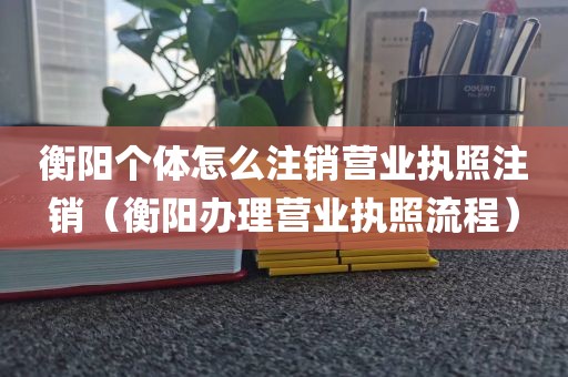 衡阳个体怎么注销营业执照注销（衡阳办理营业执照流程）