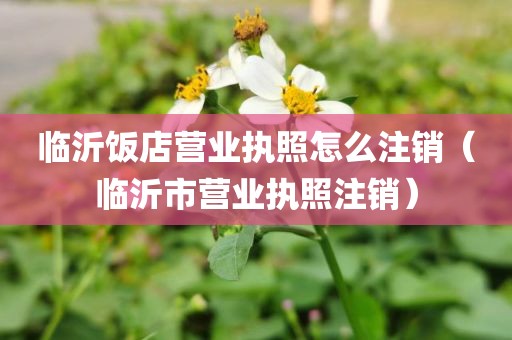 临沂饭店营业执照怎么注销（临沂市营业执照注销）