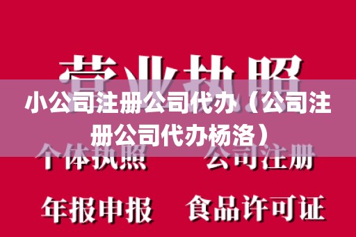 小公司注册公司代办（公司注册公司代办杨洛）