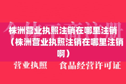 株洲营业执照注销在哪里注销（株洲营业执照注销在哪里注销啊）