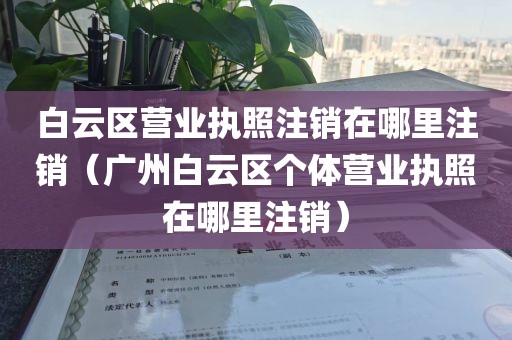 白云区营业执照注销在哪里注销（广州白云区个体营业执照在哪里注销）