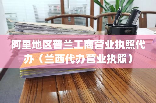 阿里地区普兰工商营业执照代办（兰西代办营业执照）