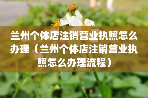 兰州个体店注销营业执照怎么办理（兰州个体店注销营业执照怎么办理流程）