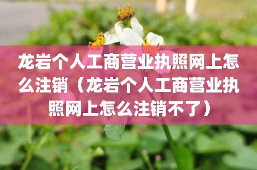 龙岩个人工商营业执照网上怎么注销（龙岩个人工商营业执照网上怎么注销不了）