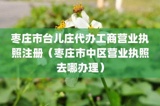 枣庄市台儿庄代办工商营业执照注册（枣庄市中区营业执照去哪办理）