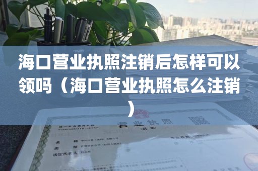 海口营业执照注销后怎样可以领吗（海口营业执照怎么注销）