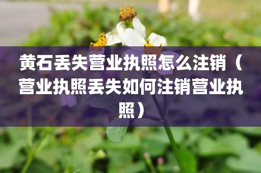 黄石丢失营业执照怎么注销（营业执照丢失如何注销营业执照）