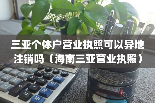 三亚个体户营业执照可以异地注销吗（海南三亚营业执照）