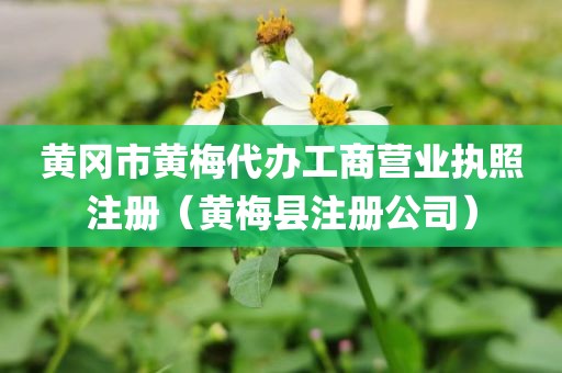 黄冈市黄梅代办工商营业执照注册(黄梅县注册公司)