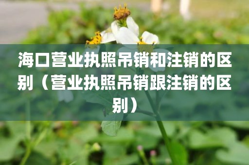 海口营业执照吊销和注销的区别（营业执照吊销跟注销的区别）