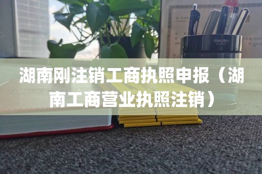 湖南刚注销工商执照申报（湖南工商营业执照注销）