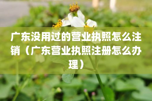 广东没用过的营业执照怎么注销（广东营业执照注册怎么办理）