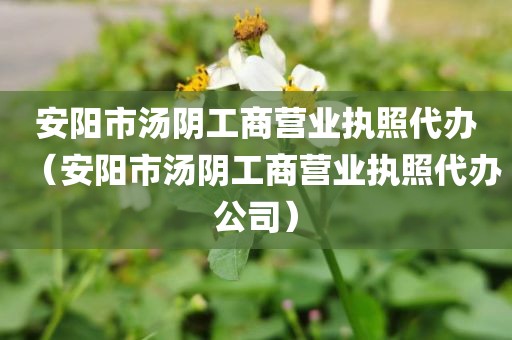 安阳市汤阴工商营业执照代办（安阳市汤阴工商营业执照代办公司）