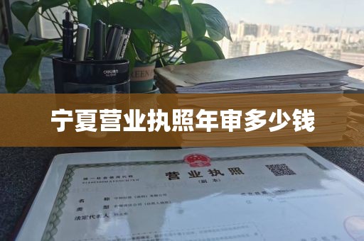 宁夏营业执照年审多少钱