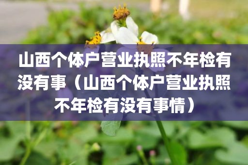 山西个体户营业执照不年检有没有事（山西个体户营业执照不年检有没有事情）