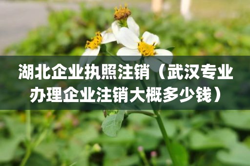 湖北企业执照注销(武汉专业办理企业注销大概多少钱)
