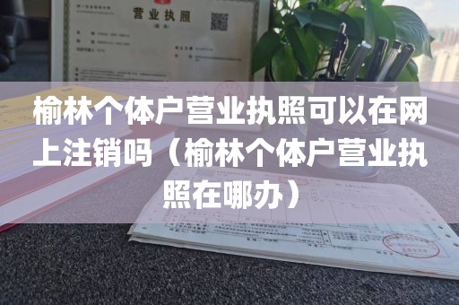 榆林个体户营业执照可以在网上注销吗(榆林个体户营业执照在哪办)