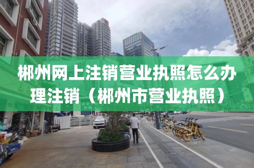 郴州网上注销营业执照怎么办理注销(郴州市营业执照)