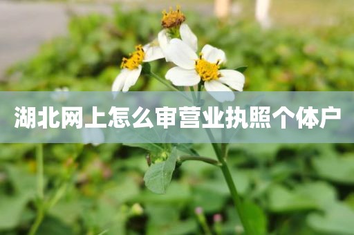 湖北网上怎么审营业执照个体户