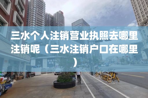 三水个人注销营业执照去哪里注销呢（三水注销户口在哪里）