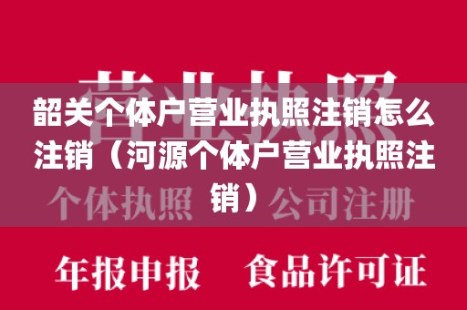 韶关个体户营业执照注销怎么注销（河源个体户营业执照注销）