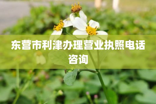 东营市利津办理营业执照电话咨询