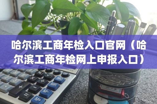 哈尔滨工商年检入口官网（哈尔滨工商年检网上申报入口）