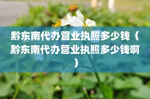 黔东南代办营业执照多少钱（黔东南代办营业执照多少钱啊）