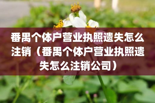 番禺个体户营业执照遗失怎么注销（番禺个体户营业执照遗失怎么注销公司）